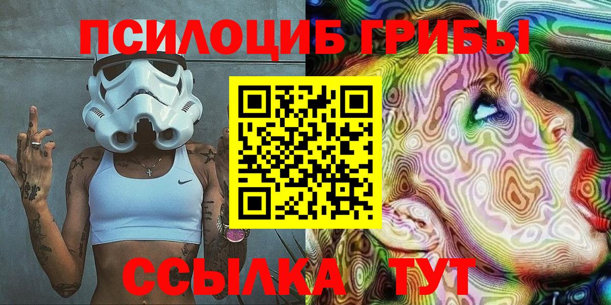 Псилоцибиновые грибы Psilocybe Апатиты